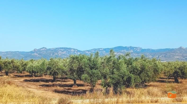 Tarragona - la Galera - 4544m2
