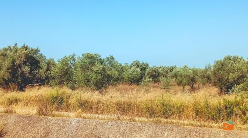 Tarragona - la Galera - 4544m2