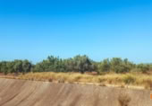 Terreno no urbanizable en venta en la España, la Galera, ref: TR311609 foto
