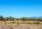 Terreno no urbanizable en venta en la España, la Galera, ref: TR311609 foto