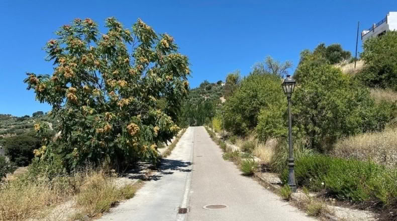Granada - Montefrío - 200m2