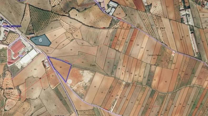 Cuenca - El Picazo - 6821m2