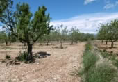 Terreno no urbanizable en venta en la España, Benlloc, ref: TR295759 foto