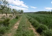Terreno no urbanizable en venta en la España, Benlloc, ref: TR295759 foto