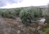 Terreny no urbanitzable en venda a la España, Calasparra, ref.: TR282664 foto