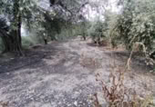 Terreny no urbanitzable en venda a la España, Calasparra, ref.: TR282664 foto