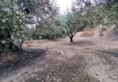 Terreny no urbanitzable en venda a la España, Calasparra, ref.: TR282664 foto