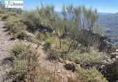 Non-developable land for sale on España, Carataunas, ref: TR289783 photo