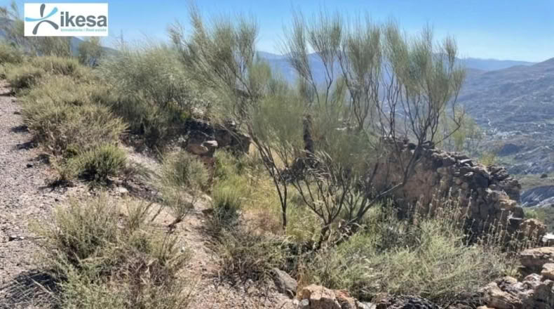 Granada - Carataunas - 4549m2