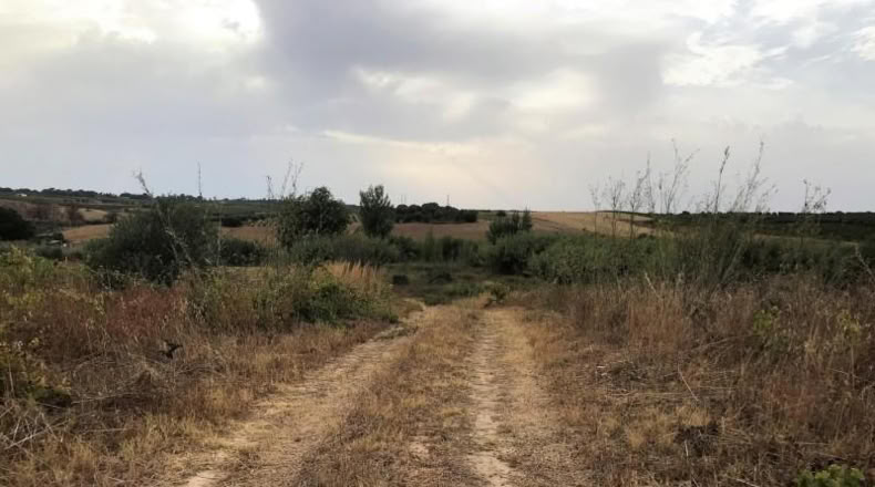 Huelva - Bollullos Par del Condado - 6348m2
