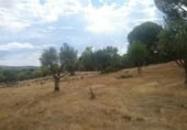 Terreno no urbanizable en venta en la España, Pelayos de la Presa, ref: TR231705 foto