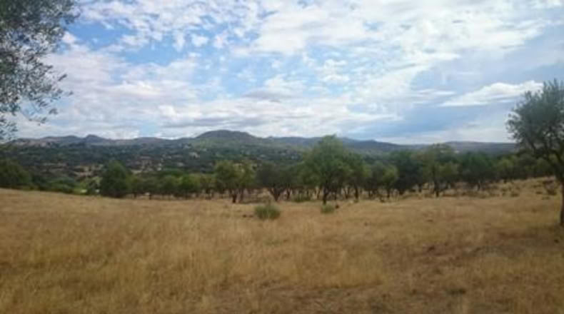 Comunidad de Madrid - Pelayos de la Presa - 3200m2