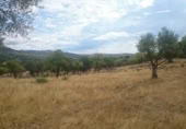 Terreno no urbanizable en venta en la España, Pelayos de la Presa, ref: TR231705 foto