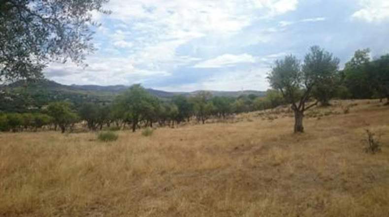 Comunidad de Madrid - Pelayos de la Presa - 3200m2