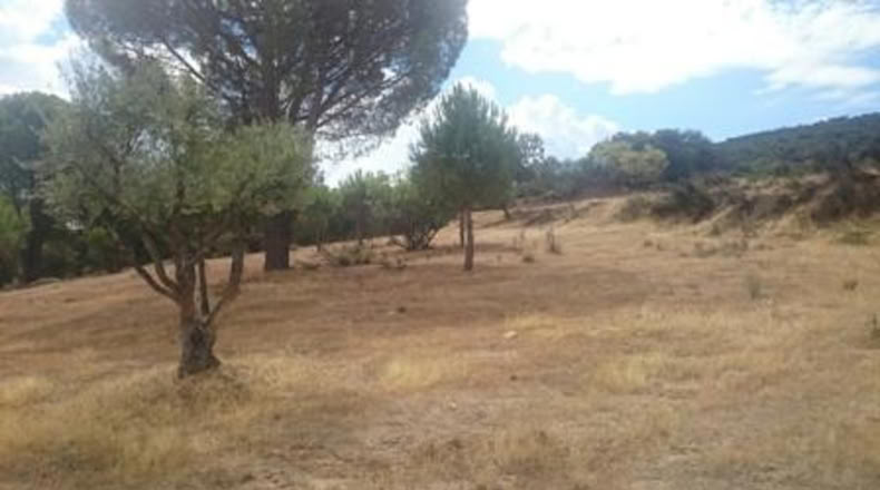 Comunidad de Madrid - Pelayos de la Presa - 3200m2