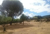 Terreno no urbanizable en venta en la España, Pelayos de la Presa, ref: TR231705 foto