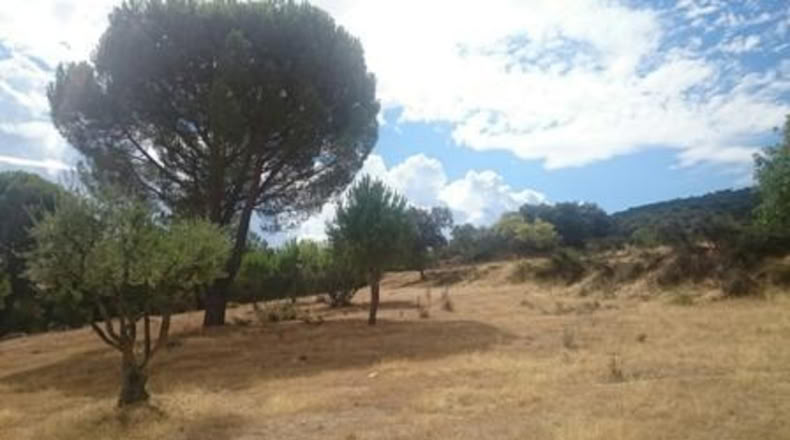 Comunidad de Madrid - Pelayos de la Presa - 3200m2