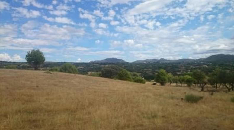 Comunidad de Madrid - Pelayos de la Presa - 3200m2