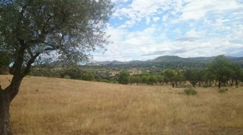 Comunidad de Madrid - Pelayos de la Presa - 3200m2