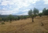 Terreno no urbanizable en venta en la España, Pelayos de la Presa, ref: TR231705 foto