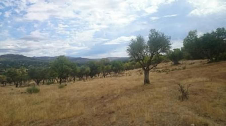 Comunidad de Madrid - Pelayos de la Presa - 3200m2