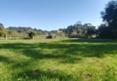 Chalet independiente con terreno en venta en la España, Vigo, ref: TR304664 foto