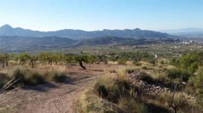 Murcia - Abanilla - 14337m2