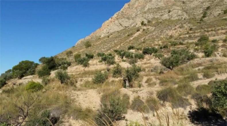 Murcia - Abanilla - 14337m2