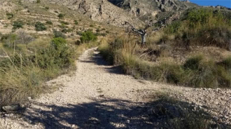 Murcia - Abanilla - 14337m2