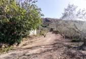 Terreny no urbanitzable en venda a la España, Calasparra, ref.: TR299058 foto