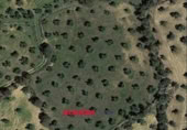 Non-developable land for sale on España, La Granjuela, ref: TR296649 photo