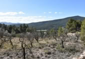 Detached villa with land for sale on España, Fuentespalda, ref: TR315770 photo