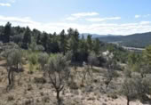 Detached villa with land for sale on España, Fuentespalda, ref: TR315770 photo