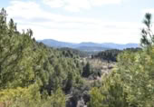Detached villa with land for sale on España, Fuentespalda, ref: TR315770 photo