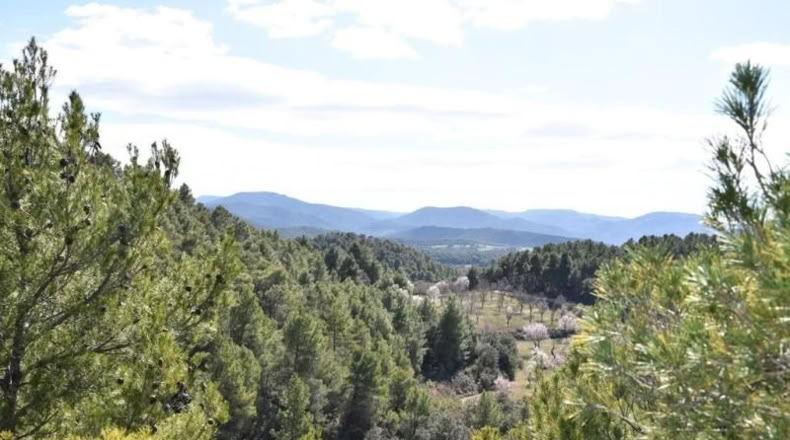 Teruel - Fuentespalda - 27505m2