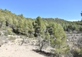 Detached villa with land for sale on España, Fuentespalda, ref: TR315770 photo