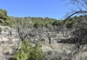 Detached villa with land for sale on España, Fuentespalda, ref: TR315770 photo