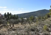 Detached villa with land for sale on España, Fuentespalda, ref: TR315770 photo