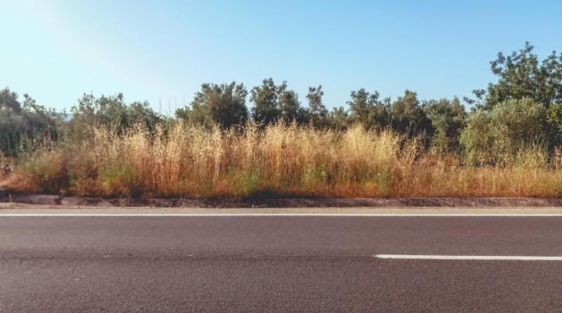 Tarragona - Ulldecona - 6636m2
