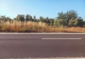 Non-developable land for sale on España, Ulldecona, ref: TR317629 photo