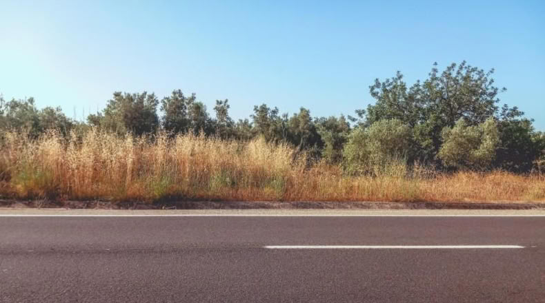 Tarragona - Ulldecona - 6636m2