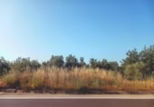 Non-developable land for sale on España, Ulldecona, ref: TR317629 photo