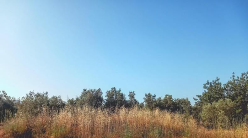 Tarragona - Ulldecona - 6636m2