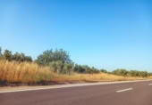 Non-developable land for sale on España, Ulldecona, ref: TR317629 photo