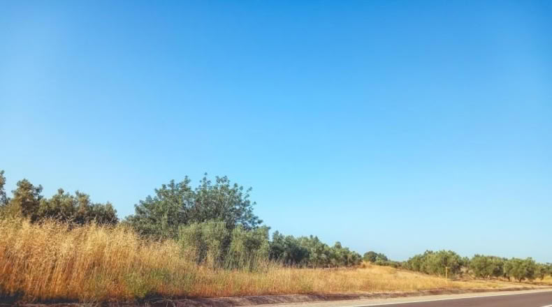 Tarragona - Ulldecona - 6636m2