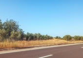 Non-developable land for sale on España, Ulldecona, ref: TR317629 photo
