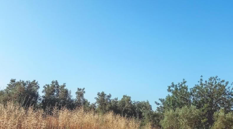 Tarragona - Ulldecona - 6636m2