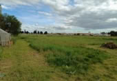 Terreno no urbanizable en venta en la España, Cuéllar, ref: TR303035 foto