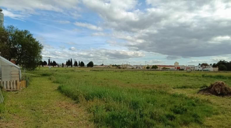 Segovia - Cuéllar - 2606m2