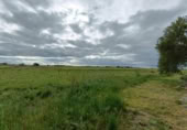 Terreno no urbanizable en venta en la España, Cuéllar, ref: TR303035 foto